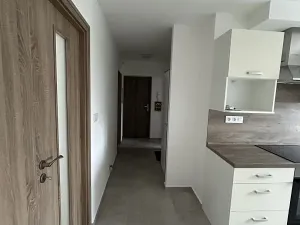 Pronájem bytu 2+1, Planá, Zahradní, 50 m2