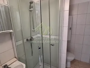 Pronájem bytu 1+1, Rokycany, Horákova, 34 m2
