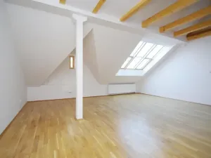 Pronájem bytu 3+1, Praha - Vinohrady, Mánesova, 120 m2
