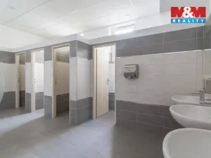 Pronájem kanceláře, Praha - Bubeneč, Podbabská, 15 m2