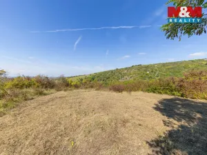 Prodej zahrady, Židlochovice, 3718 m2