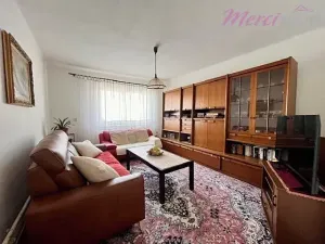 Prodej rodinného domu, Ostrožská Nová Ves, Dědina, 160 m2
