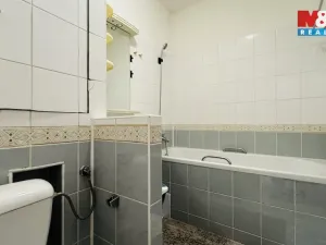 Pronájem bytu 2+1, České Budějovice - České Budějovice 3, Plzeňská, 50 m2