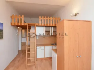 Pronájem bytu 1+kk, České Budějovice, Šumavská, 21 m2