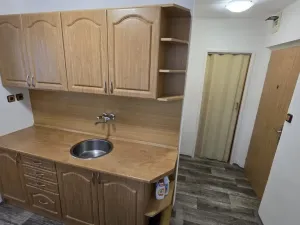 Pronájem bytu 1+1, U Zámeckého parku 840, 43601 Litvínov, 30 m2