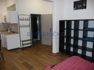 Pronájem bytu 1+kk, České Budějovice, Nová, 30 m2