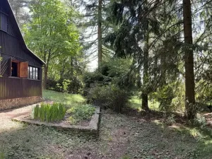 Prodej chaty, Borová, 53 m2