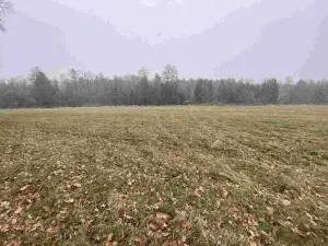 Prodej pozemku, Jindřichův Hradec - Horní Žďár, 16799 m2