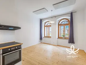 Pronájem bytu 2+kk, Mladá Boleslav, Starofarní, 42 m2