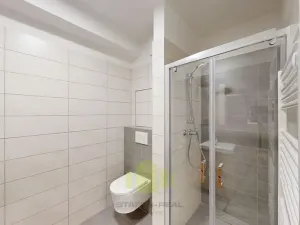 Pronájem bytu 1+kk, Olomouc, Camilla Sitteho, 34 m2