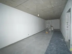 Prodej rodinného domu, Malá Morava - Zlatý Potok, 221 m2
