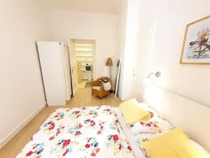 Pronájem bytu 2+kk, Praha - Staré Město, Náprstkova, 46 m2