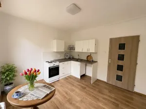 Pronájem bytu 1+1, Litvínov, U Bílého sloupu, 40 m2