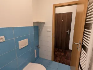 Pronájem bytu 1+kk, Olomouc, Voskovcova, 35 m2