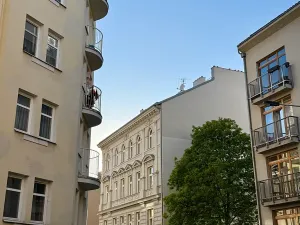 Prodej bytu 2+kk, Praha - Žižkov, Dalimilova, 50 m2