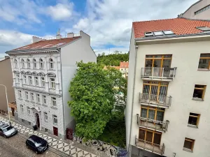 Prodej bytu 2+kk, Praha - Žižkov, Dalimilova, 50 m2