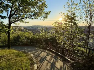 Prodej bytu 2+kk, Praha - Žižkov, Dalimilova, 50 m2