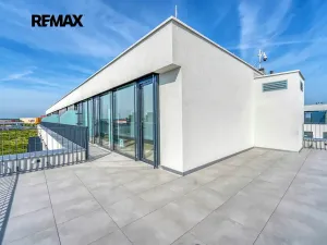 Pronájem bytu 2+kk, Plzeň, Železná, 64 m2