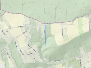 Prodej lesa, Vráž, 3233 m2
