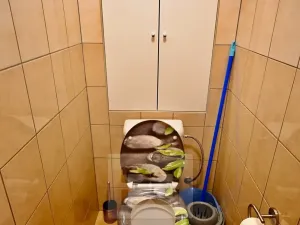 Pronájem bytu 1+1, Brno, Křídlovická, 42 m2