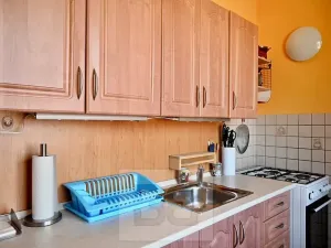 Pronájem bytu 1+1, Brno, Křídlovická, 42 m2