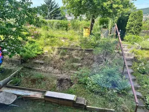 Prodej zahrady, Děčín, 260 m2