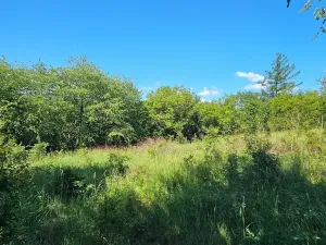 Prodej pozemku pro bydlení, Letovice, 1845 m2