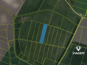 Prodej podílu pole, Běrunice, 711 m2