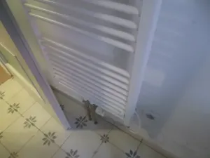 Dražba rodinného domu, Jílovice, 10 m2