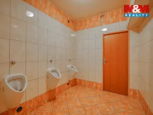 Pronájem restaurace, Plzeň - Jižní Předměstí, Americká, 145 m2