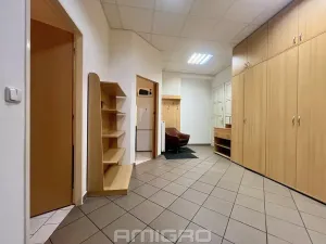 Pronájem bytu 2+1, Brno, Pekařská, 75 m2