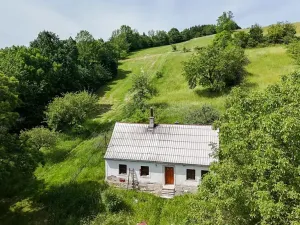 Prodej chalupy, Dlouhá Loučka, 80 m2
