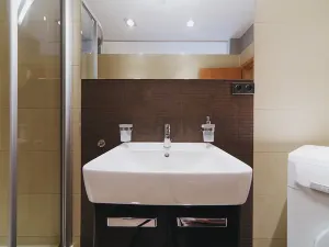 Pronájem bytu 1+kk, Brno, Kopečná, 40 m2