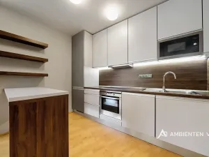 Pronájem bytu 3+kk, Brno, Kopečná, 93 m2