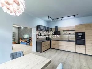 Prodej bytu 2+kk, Praha - Žižkov, Ševčíkova, 91 m2