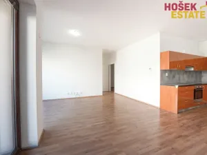 Prodej bytu 2+kk, Brno, Kigginsova, 60 m2