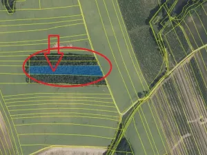 Prodej podílu lesa, Kojice, 4203 m2