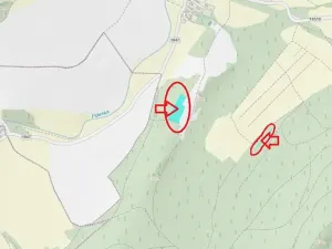Prodej lesa, Poleň, 7982 m2