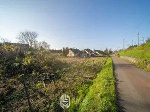 Prodej pozemku pro bydlení, Bělotín, 2323 m2