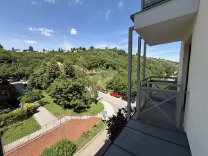 Pronájem bytu 2+kk, Praha - Dejvice, Paťanka, 43 m2