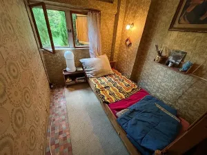 Prodej - jiné, Olšany, 40 m2