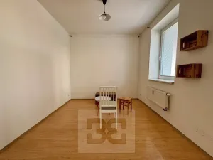 Pronájem bytu 2+kk, Brno, Cejl, 50 m2