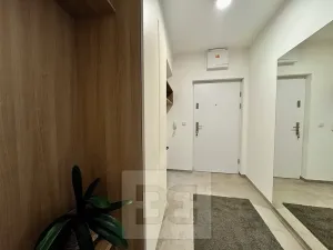 Pronájem bytu 1+kk, Brno, Husovická, 40 m2