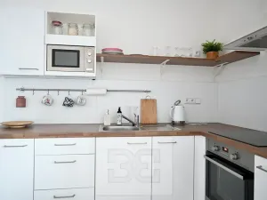 Pronájem bytu 1+kk, Brno, Křenová, 40 m2