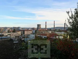 Pronájem bytu 1+kk, Brno, Křenová, 40 m2