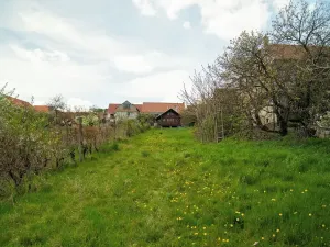 Prodej pozemku pro bydlení, Pavlov, 1500 m2