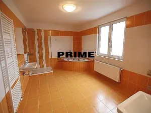 Pronájem rodinného domu, Průhonice, Pod Valem II., 350 m2