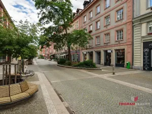 Pronájem bytu 2+1, Hradec Králové, Čelakovského, 80 m2
