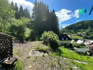 Prodej chaty, Kraslice, 65 m2