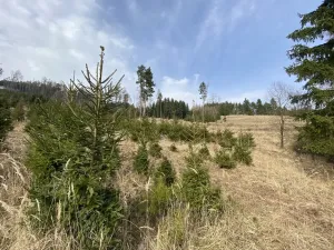 Prodej louky, Městečko Trnávka - Lázy, 1026 m2